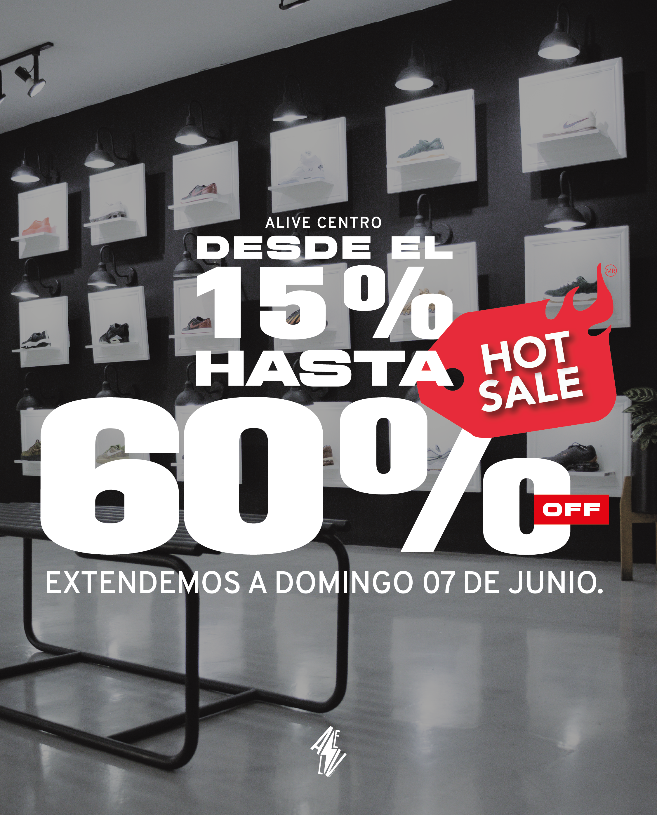 Imagen de diapositiva